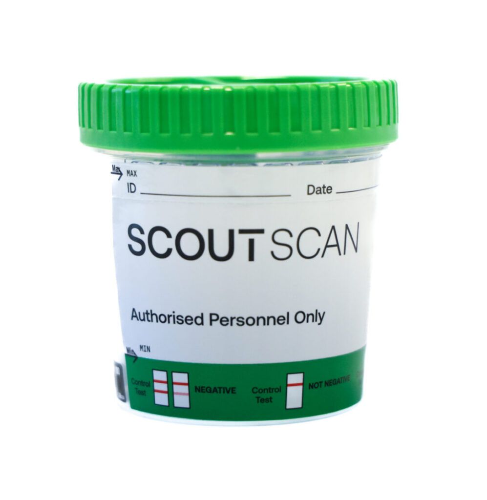 SCOUT Scan 2 scaled 1 1 997x1024